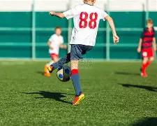 双色球奇才,揭秘,狗年,湖南体彩,湖南体彩网,湖南体彩网官网,体育彩票,体彩大乐透,竞彩足球,体彩公益