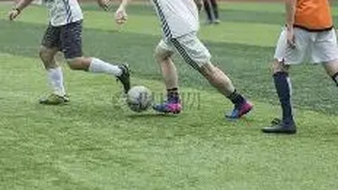 2026019期3D号码预测大揭秘：海滨专家每日精选，胆码直击大奖！_

这个标题更强调了预测的权威性和每日更新的特色，同时激发读者的好奇心。