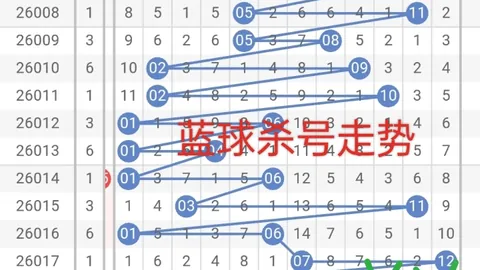 2026020期大乐透专家预测：后区杀一码08分析