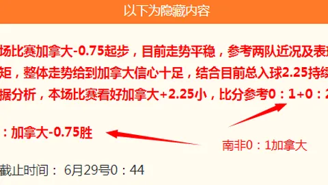 独家攻略2026版，网上购彩技巧，多伦多金州女武神粉丝